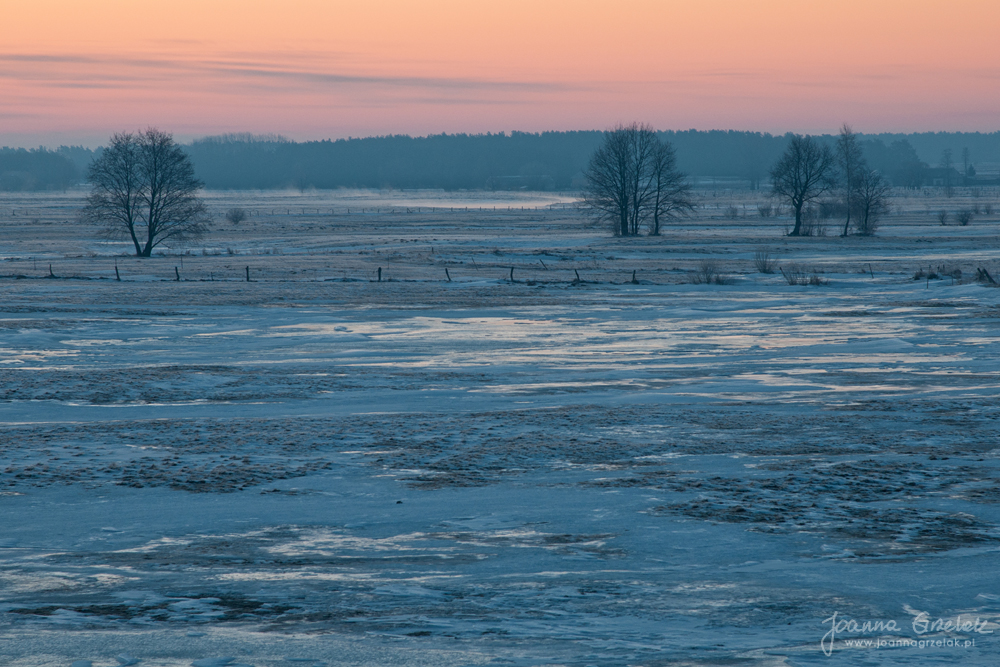 051_Biebrza - marzec 2013.jpg